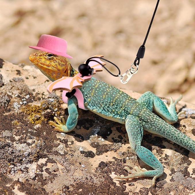 Valentine's Day Bearded Dragon Lizard Leash Harness Hat Bowtie Set - Valentine's Day Hat + Bowtie + 3 Pack Harness Leash for Bearded Dragon Iguana Amphibians Gift Small Animal Clothes Outfit(Pink Set)