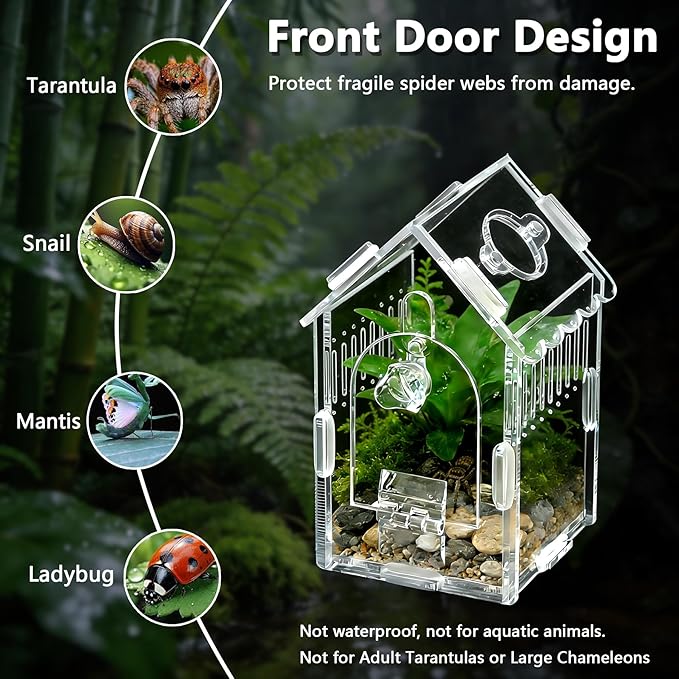 Jumping Spider Enclosure 3.15"×3.15"×5.6" - Magnetic Front Opening Acrylic Terrarium with Ventilation, Escape-Proof Habitat for Tarantulas, Mantis & Small Reptiles, No-Tool Easy Assembly