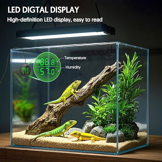 QZQ Reptile Thermometer and Humidity Gauge, LED Digital Thermometer Hydrometer, Reptile Tank Accessories for Bearded Dragon, Crested Gecko, Snake, Jumping Spider, Lizard, USB Power Supply (Black)