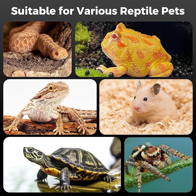 Acrylic Spider Enclosures, Insect Breeding Boxes, Insect Enclosures, Scorpion Habitats, Small Lizard and Frog Enclosures