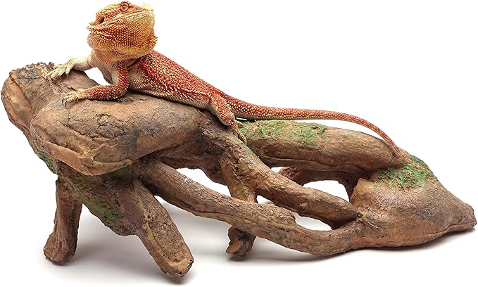 CAROLINACUSTOMCAGES Gnarled Large Root, Brown, Reptile Habitat Accessory