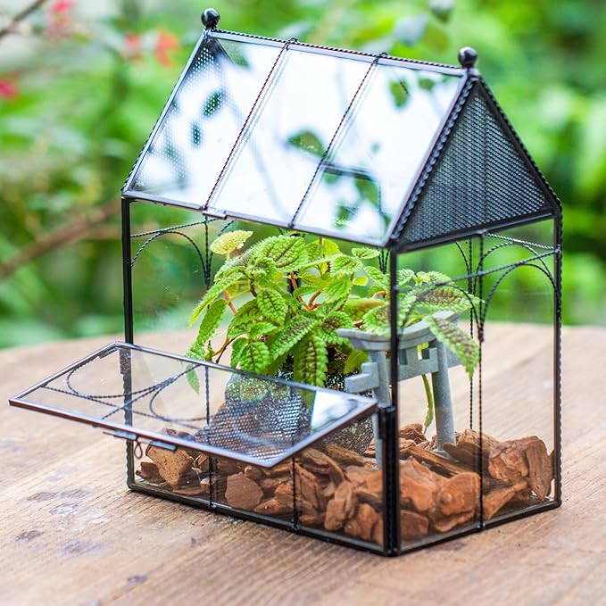 NCYP Glass Jumping Spiders Enclosure with Vent Holes - 7.5" x 4.9" x 9" Vented Glass Terrarium for Small Spider, Mantis, Small Beetle, House Shape, Tabletop Decor, Black (Terrarium Only)