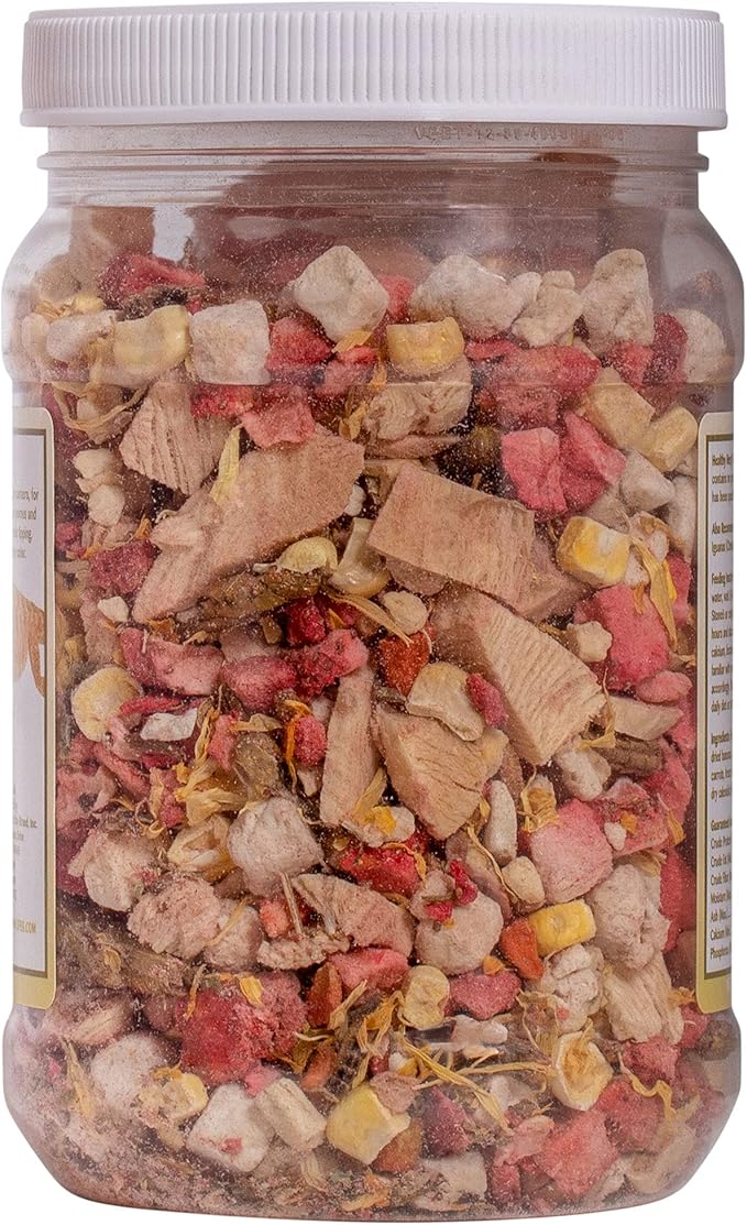 Healthy Herp Box Turtle Food Instant Meal for Reptiles - Nutritious Turtle Food, Tortoise Habitat Accessories, Tortoise Food - Made in USA, Quick Prep - 5.07 oz (145g)