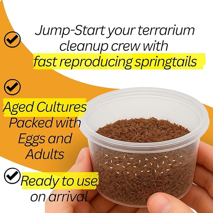 50 Powder Orange Isopods | 8oz Coco Temperate Springtails | Live Arrival Nationwide!
