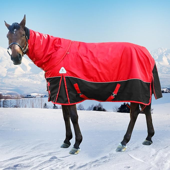 1680D All-Weather Horse Turnout Blanket with Detachable Neck Cover - 280g Medium Weight Winter Horse Blanket, Water-Resistant & Breathable for Cold Weather (72in/135cm)