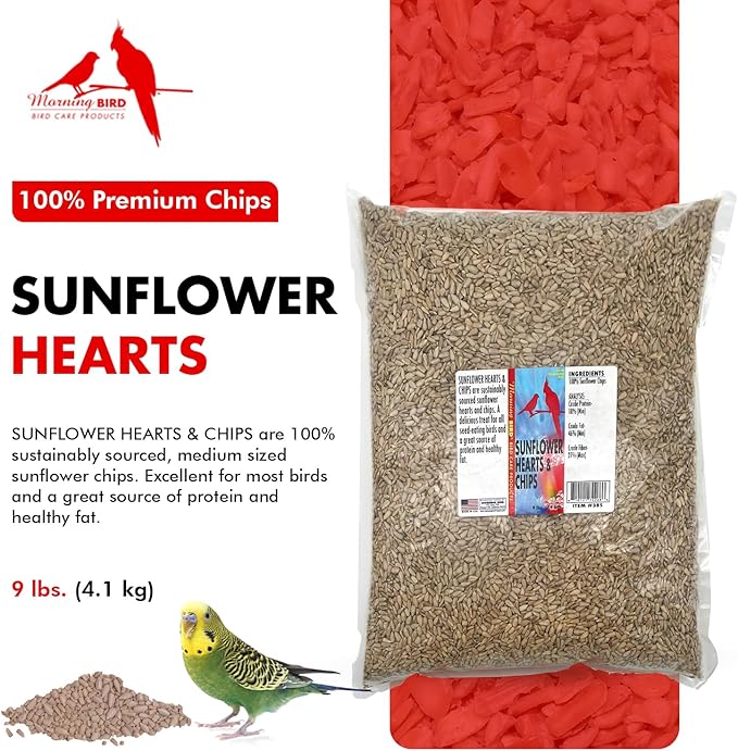 Morning Bird Sunflower Hearts & Chips 9 lbs – Premium Bird Seed with High Protein & Healthy Fat - Shelled Sunflower Hearts for Birds - Mess Free, Easy to Feed, Delicious Snack
