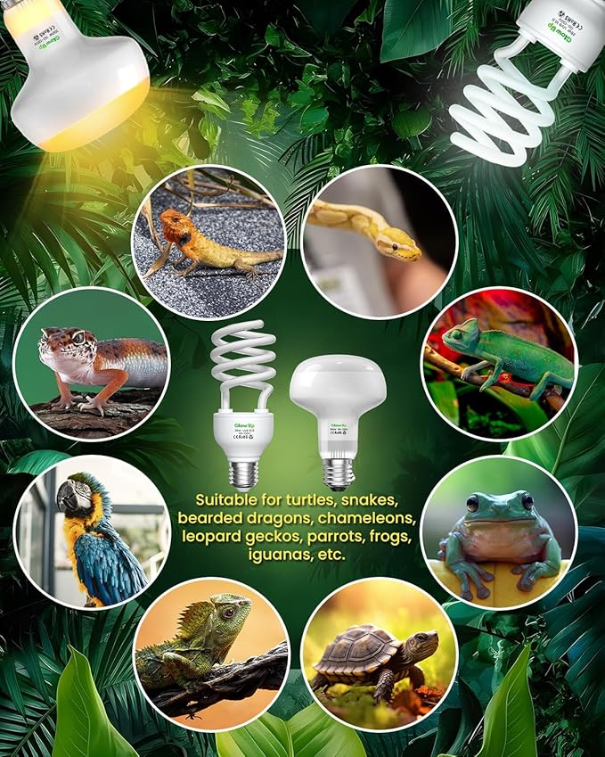 GlowUp UVA UVB Light Bulbs for Reptiles E26 Combo Pack 110V - 100W Reptile Heat Lamp Bulb + 26W 10.0 UVB Bulb Provide Heat, Light, D3 and UV for Bearded Dragon, Tortoise, Lizard
