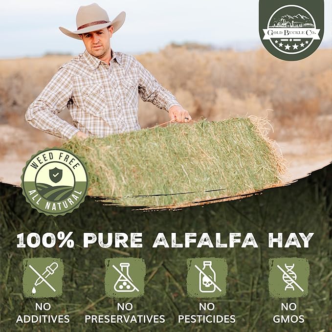 20lb Farm Fresh Alfalfa Hay for Rabbits, Guinea Pigs, Chinchillas, Goats, Hamsters & Ferrets - Organic Small Animal Food Rich in Protein & Fiber - Fresh Dried, Hand-Selected, USA Grown