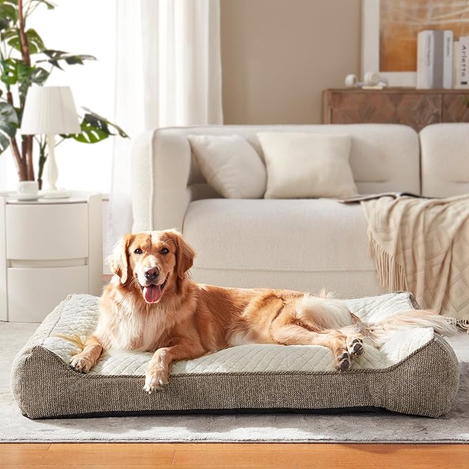 JOEJOY XL Orthopedic Dog Beds Large Sized Dog, Extra Thick Supportive Big Dogs Couch Bed with Sides, Ultra Soft Pet Bed Sofa for Large Dogs, Beige, 38''x28''