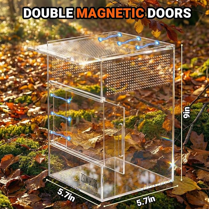 Jumping Spider Enclosure - Acrylic Terrarium Habitat for Spiders, Tarantulas, Snail, Mantis, Lizard, and Small Reptiles, Dual Magnetic Doors (6x6x9 inch)