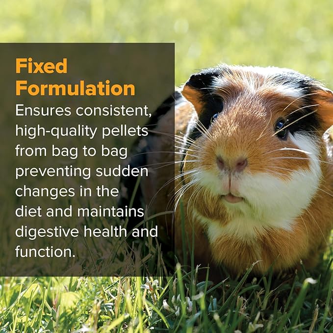 Blue Seal Kent Nutrition Furry Friends Guinea Pig Pellets with Added Vitamin C 25 lbs.