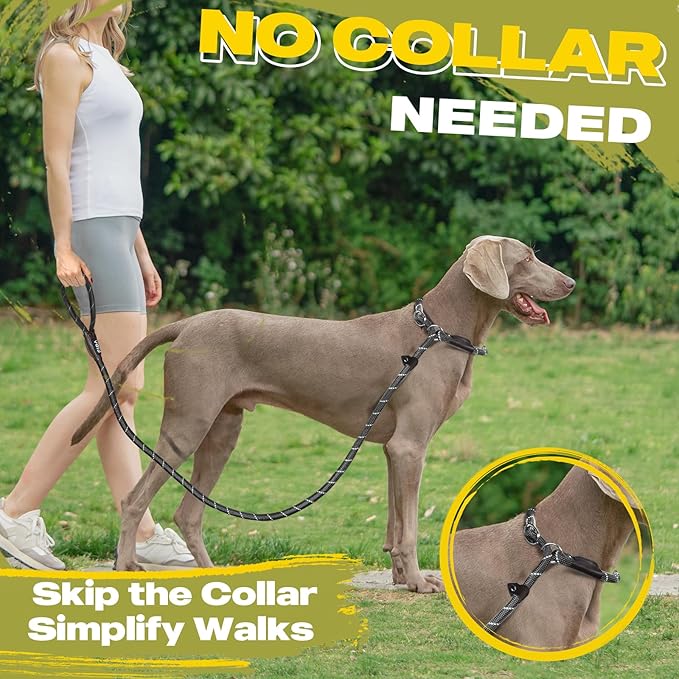 Fida Durable Slip Lead Dog Leash Bulk Pack of 5, Heavy Duty 1/2" x 6 FT Comfortable Strong Rope Slip Lead for Large, Medium & Small Dogs No Pulling Pet Training Leash with Highly Reflective (Black)