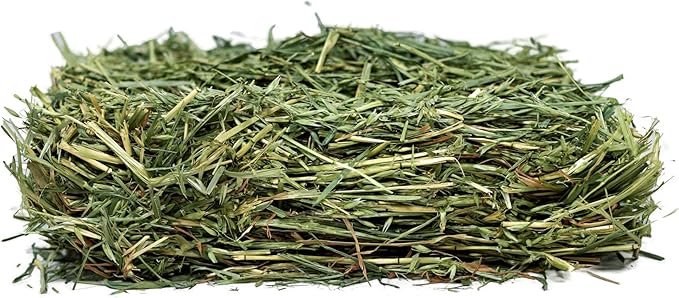 Oat Hay for Rabbits & Small Pets (7 lbs)