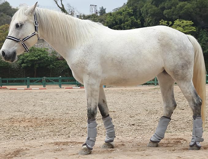 LEAFOREST Horse Fly Boots Set of 4 - Non Slip Leg Protection for Donkey Mini Pony Draft, Breathable Mesh Fly Boots for Pasture & Barn Use Grey Full