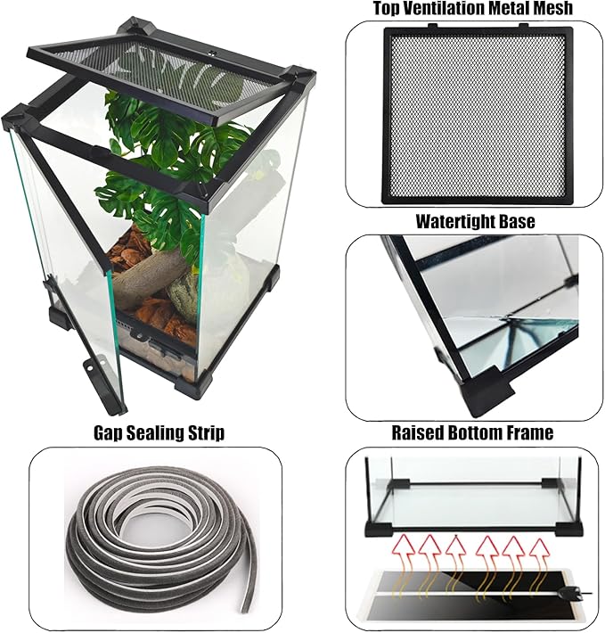 Woyrise Reptile Terrarium 8"x8"x12" Mini, Front-Opening Glass Tank with Mesh Lid & Escape-Proof Locks, 360° Vertical Enclosure with Gap Sealing Strip for Small Geckos, Frogs, Tarantulas, Lizards