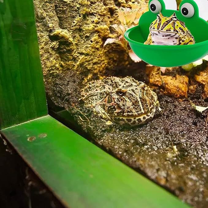 Plastic Cute with Suction Cups for Frogs Toads Geckos Tadpole, Leakproof Reptile for Bathroom Use