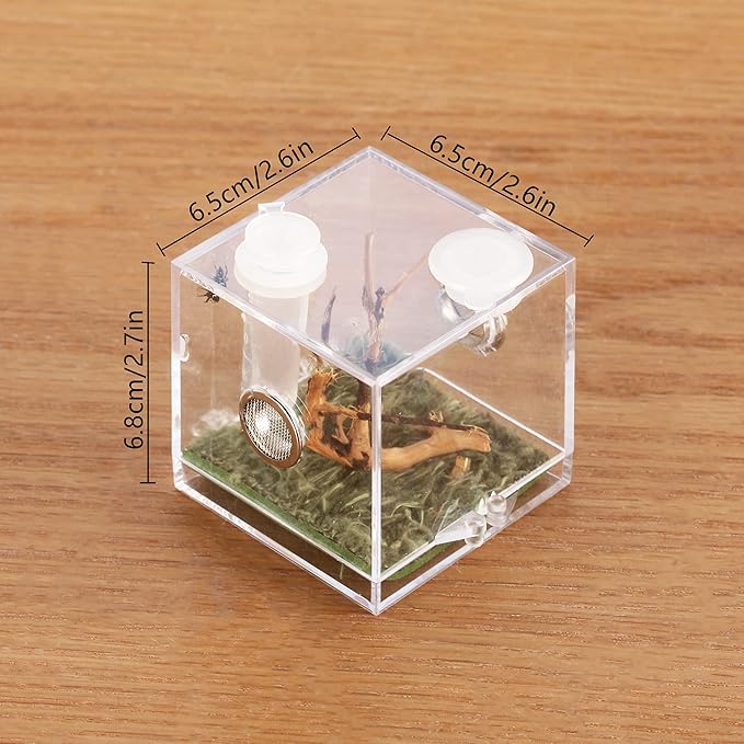 crapelles Jumping Spider Micro Big Habitat, Small Pet Insect Breeding Box, 360 Degree High Transparent Reptile Cage, Acrylic Case Mini Carrier for Amphibians, Feeding Container Enclosure Accessories