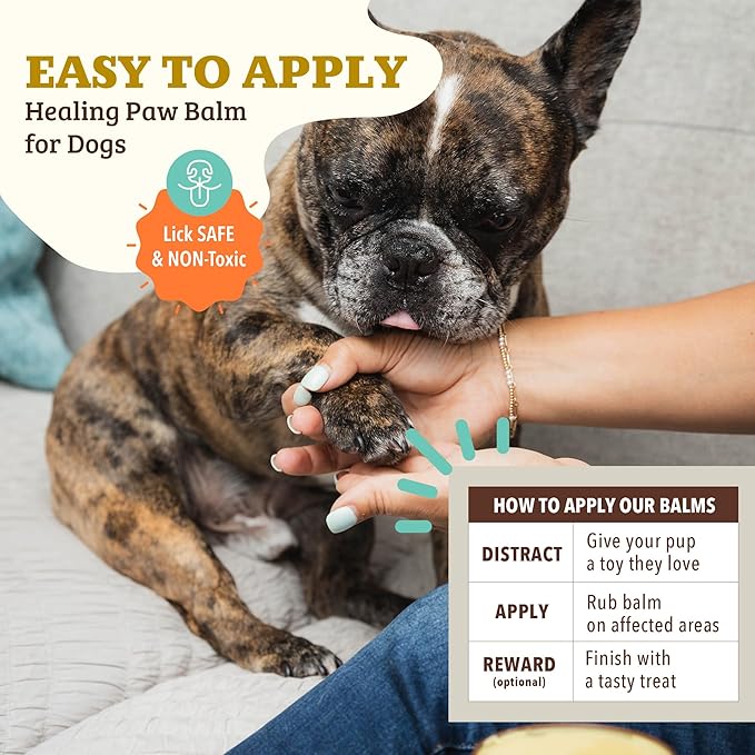 Natural Dog Company Paw Soother Balm & Wax - Dog Paw Balm & Moisturizer for Dry, Cracked Paw Pads, Helps Moisturize & Condition Worn Paws, Coconut Oil & Calendula, Daily Paws Care, 2 oz Tin