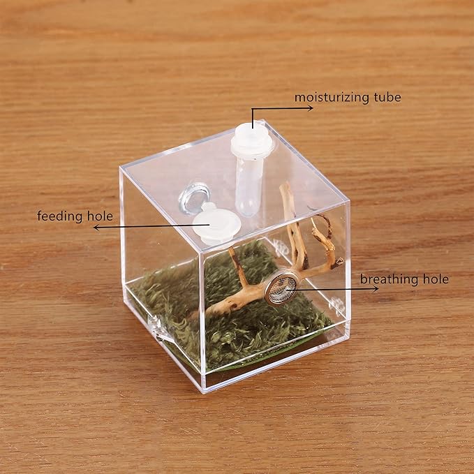 crapelles Jumping Spider Micro Middle Habitat, Small Pet Insect Breeding Box, 360 Degree Transparent Reptile Cage, Acrylic Case Mini Carrier for Amphibians, Feeding Container Enclosure Accessories