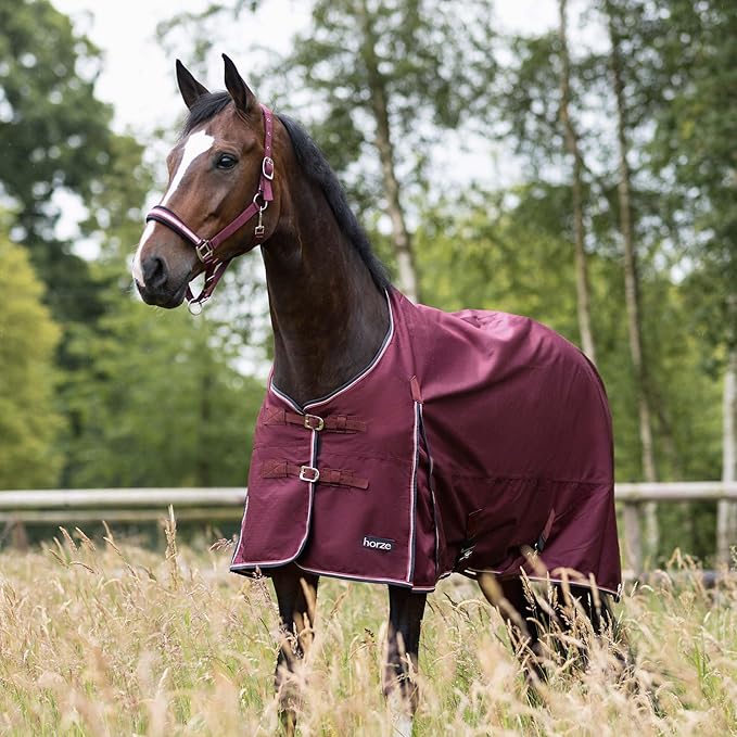 HORZE Glasgow Light Weight Waterproof Turnout Horse Sheet (No Fill) - Burgundy - 69 in