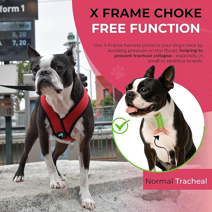 Gooby Comfort X Harness, Red, Small Chest (11.75-15.5")