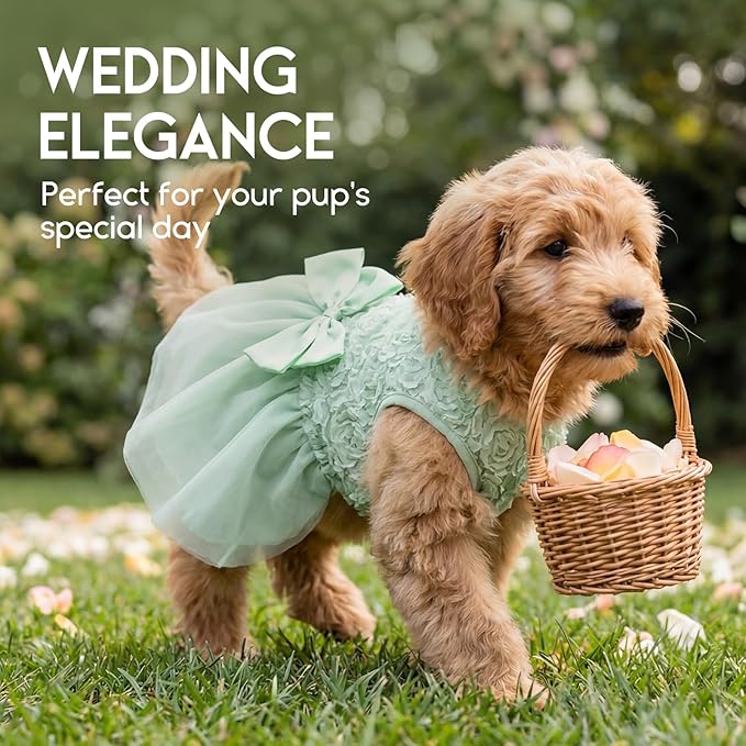 ASENKU Dog Dress Pet Wedding Dress Princess Lace Puppy Birthday Party Outfit Formal Apparel Girl for Small Medium Dogs Cats (X-Small, Green)