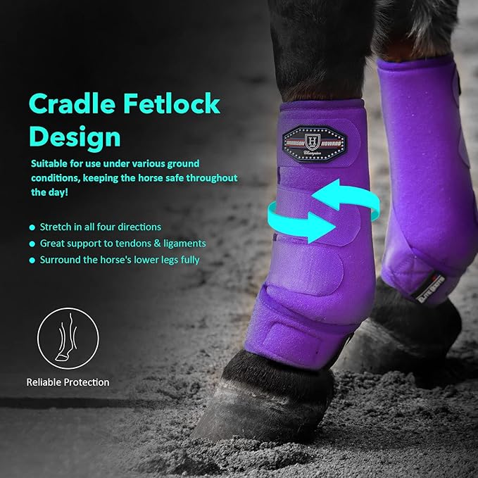 Harrison Howard Horse Sport Medicine Front Shock-Absorbing Boots All-Round Lower Limb Protection & Support Sport Boots Perfect for Endurance Training and Performance Pack of 2 Regal Purple XL