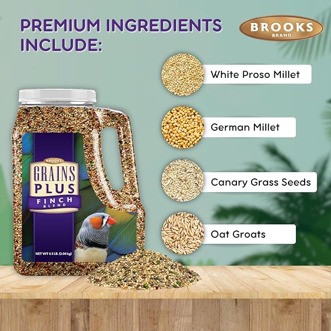 Grains Plus Finch Blend Bird Food, Nyjer Seeds, Finches Bird Seed Mix, Gold Finch Niger Seeds for Birds, Finches Food for Indoor Birds (4.5 lbs)