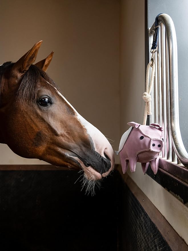 LeMieux Horse Toy - Stable Accessory - Flying Pig