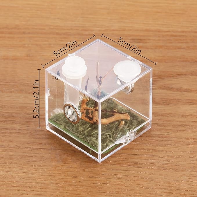 crapelles Jumping Spider Micro Middle Habitat, Small Pet Insect Breeding Box, 360 Degree Transparent Reptile Cage, Acrylic Case Mini Carrier for Amphibians, Feeding Container Enclosure Accessories