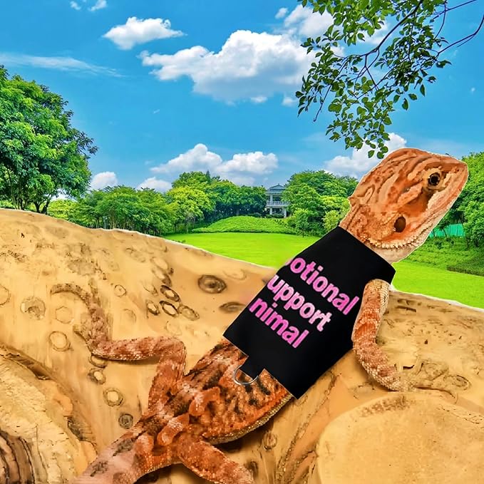 2 Pack Bearded Dragon Harness and Leash Set,Escape Proof Lizard Reptiles Harness Small Animal Traction Rope Training Walking Vest for Reptile Squirrel Rat-Blue&Pink