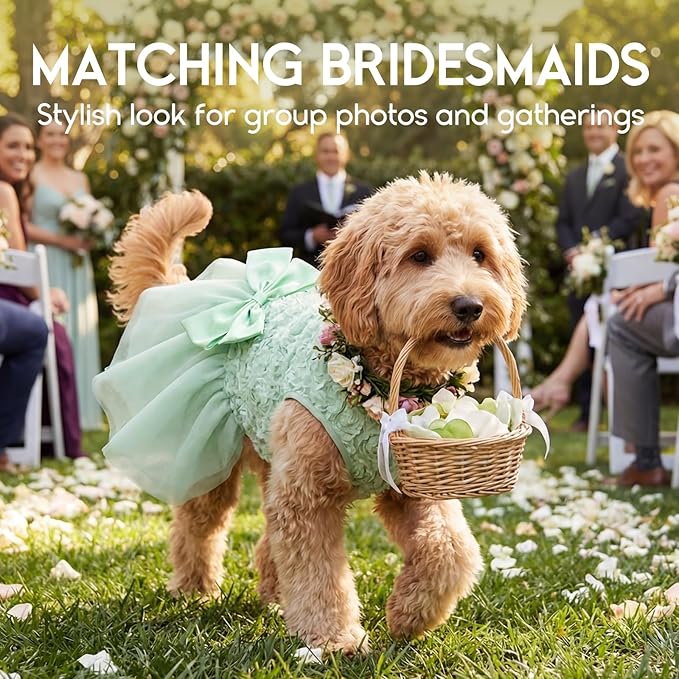 ASENKU Small Dog Dress Pet Wedding Dress Princess Lace Puppy Birthday Party Outfit Formal Apparel Girl for Only Small Medium Dogs Cats (XL, Green)