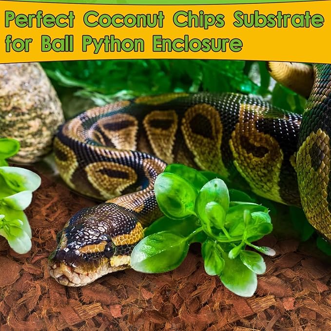 Halatool 6 Pack Compressed Coconut Chips Substrate for Reptiles, Natural Coconut Husk Bedding Coco Coir Chips Terrarium Substrate for Reptiles Ball Python Frog Snake Gecko Hermit Crab Tortoise