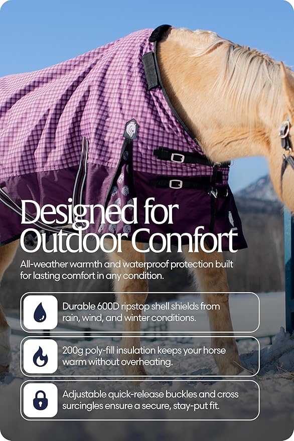 Equinavia Norse 200g Medium Weight Horse Blanket | Waterproof Winter Turnout - Black - 66 in - Plum Wine/Orchid Haze - 81 in