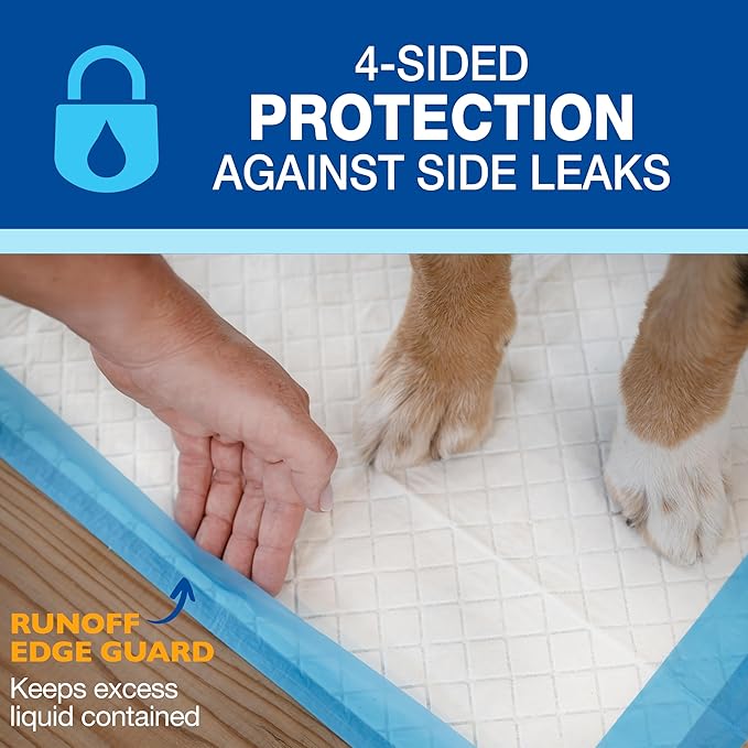 Four Paws Wee-Wee Superior Performance Unscented Extra-Large Pee Pads for Dogs & Puppies, Quilted Leak-Proof Dog Housebreaking Potty Training Floor Protection, 28" x 34", 21 Count