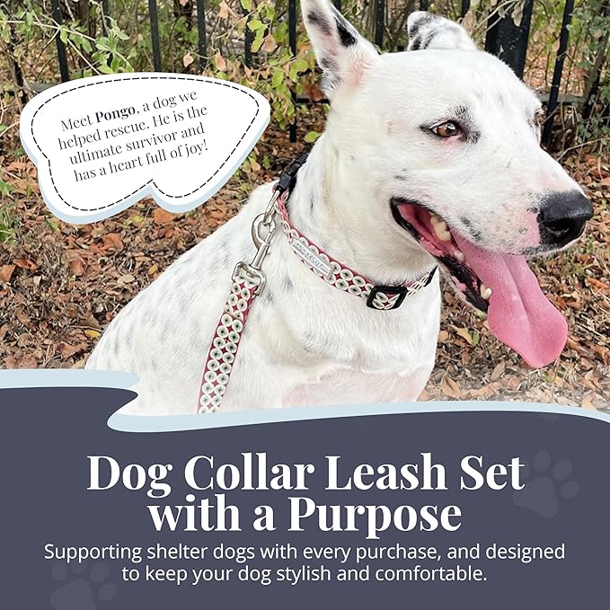 Lucky Love Dog - Easy Click Buckle Dog Collar with Leash Set Combo, Durable & Comfortable for Male & Female Dogs, Pet Collar for Small Dogs, Secure Fit - Pongo Combo, Small