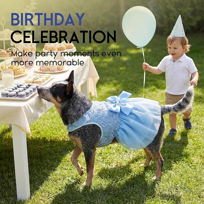 ASENKU Dog Dress Pet Wedding Dress Princess Lace Puppy Birthday Party Outfit Formal Apparel Girl for Small Medium Dogs Cats (XL, Blue)