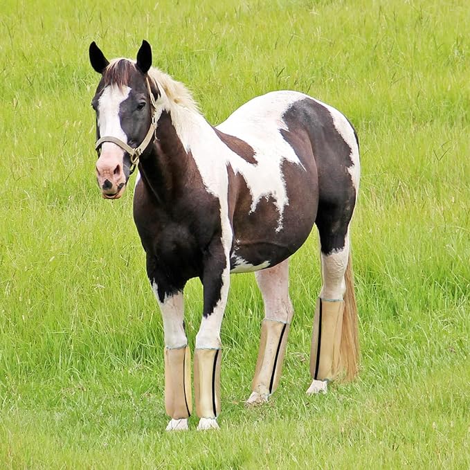 Mesh Fly Boots for Horse Breathable shoofly Leggings for Horses Set of 4 (L, Light Khaki)