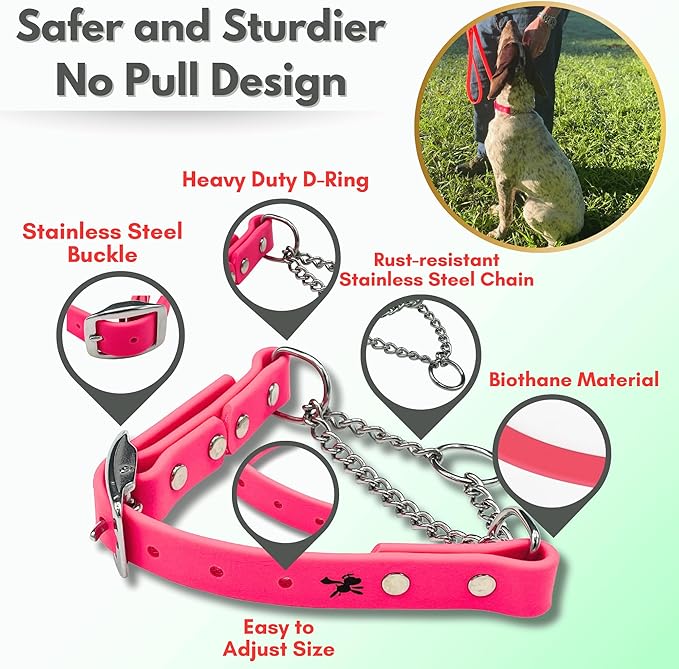 Martingale Collar for Dogs, Biothane, Stainless Steel Hardware, No Pull, Made in The USA, Professional Grade, XXS, Pink