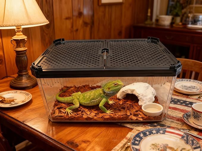 Reptile Terrarium,Tarantula Enclosure,Spider Tank Starter Kit,Leopard Gecko Container,Hermit Crab Habitat,Lizard Enclosure,Insect Housing,Jumping Spider Cage,Small Bearded Dragon Vivarium