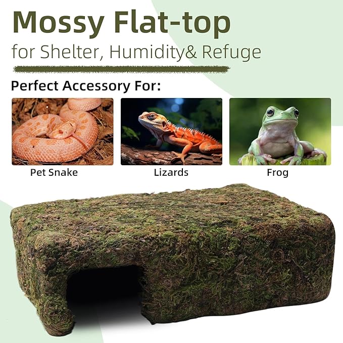 Mossy Cave Hide for Reptiles, Yellow Color Lizard Moss Hideout with Safe Shelter, Snake Cave Hut for Themed Terrarium Ideal for Gecko Hamster Snake to Rest & Hide