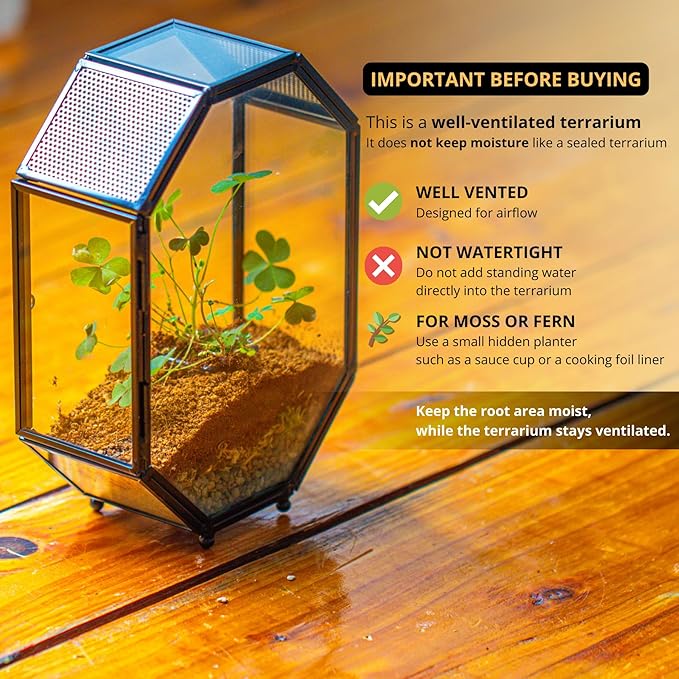 NCYP Mini Vented Glass Terrarium with Vent and Door for Jumping Spiders - Octagon Small Spider Enclosure, Black, Tabletop Decor, 5 x 2.3 x 7 Inches (Terrarium Only)