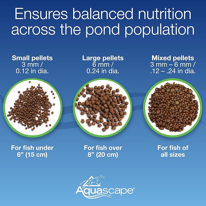 Aquascape Premium Staple Fish Food Pellets for Medium to Large Pond Fish, Large Pellet, 11 Pounds / 5 kg | 81049
