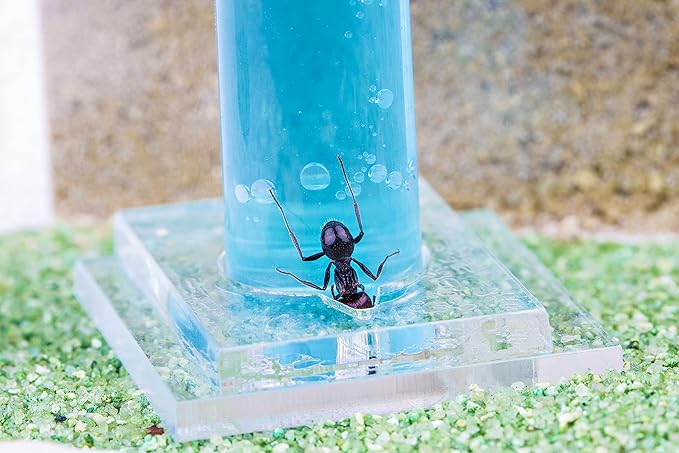 Anthouse.ES - Natural Sand Ant Farm - Acrylic Starter Kit 20x10x10 cm - Sand, Pipette, and Water Dispenser Included - Easy Installation