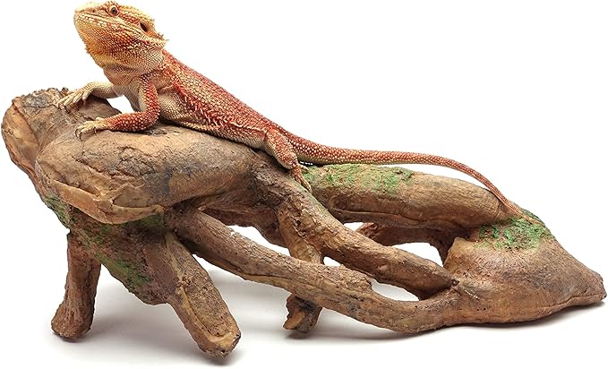 CAROLINACUSTOMCAGES Gnarled Large Root, Brown, Reptile Habitat Accessory