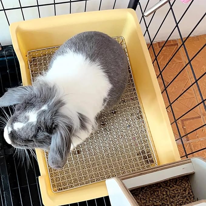 PODOO Steel Grids Rabbit Litter Box - Bunny Litter Pan Training Box, 15x11x4.7 inches, 1cm Holes Steel Mesh for Small Animals, Orange (Green)
