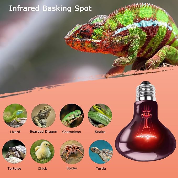 HARTOMPET 60W Infrared Red Heat Lamp – Basking Bulb for Reptiles & Lizards, E26 Base | 2 Pack