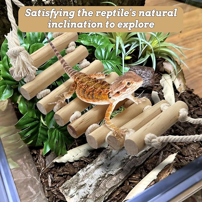 VCEPJH 2pcs Reptile Bridge Leopard Gecko Climbing Ladder Wooden Basking Lounger Reptile Tank Accessories for Hermit Crab Juvenile Bearded Dragon Chameleon Small Lizard Tree Frog and Turtle