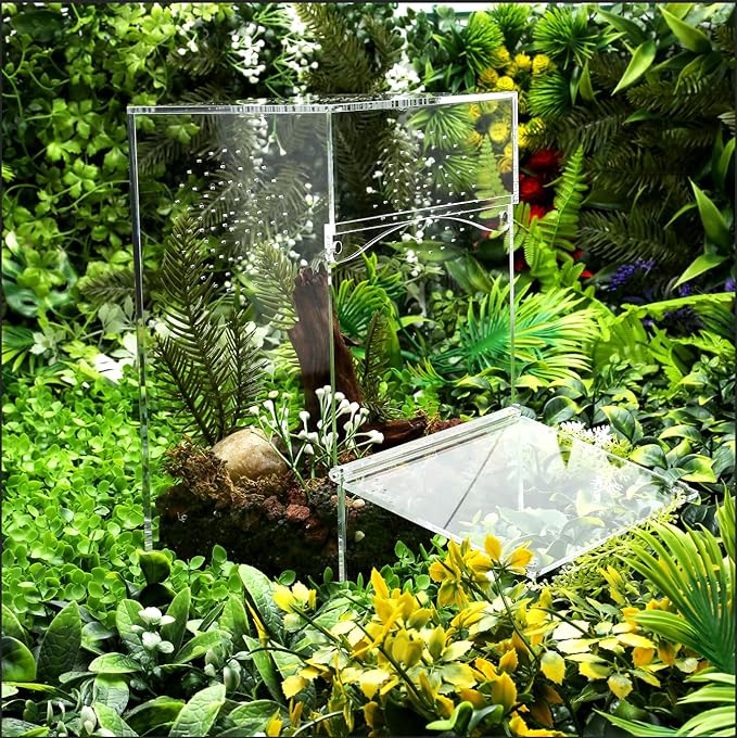 Acrylic Tarantula Enclosure Jumping Spider Enclosure with Front Opening Door 7.8 * 5.3 * 10 Inches Micro Habitat Terrarium for Small Tree Dwelling Reptiles, Spiders & Invertebrates