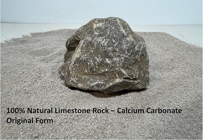 Reptile Sand - 100% Limestone Calcium Aquarium Substrate - All Natural Quarried in The USA (19, Pounds)